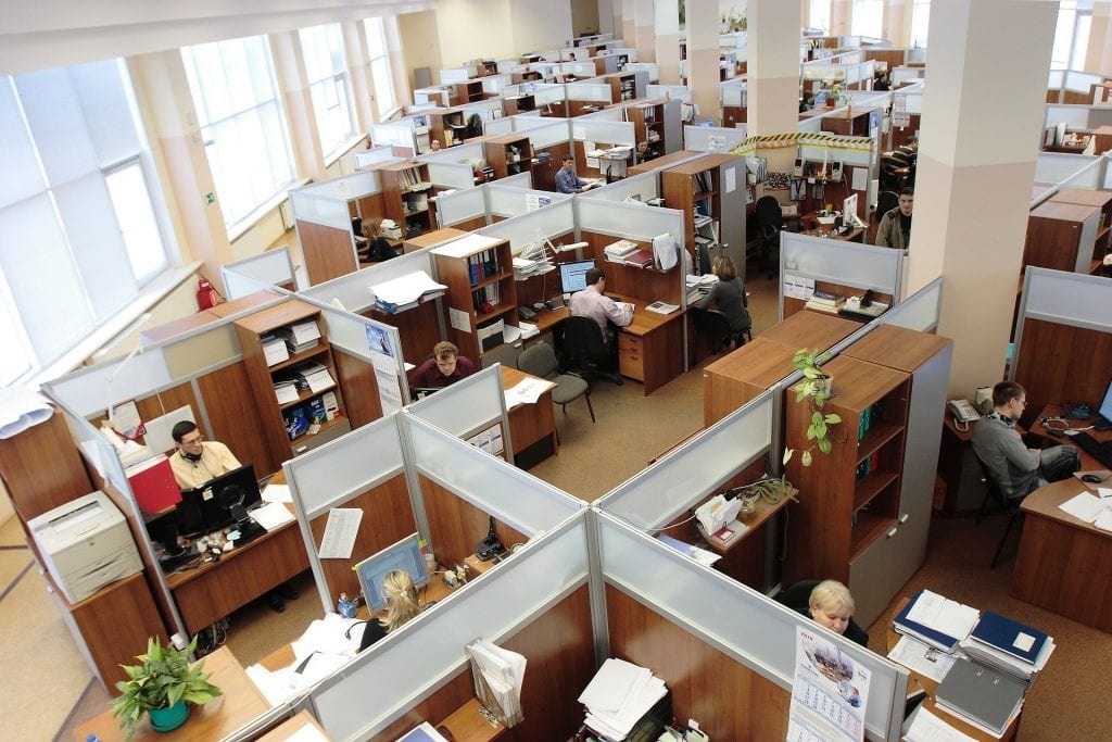 employees working in cubicles