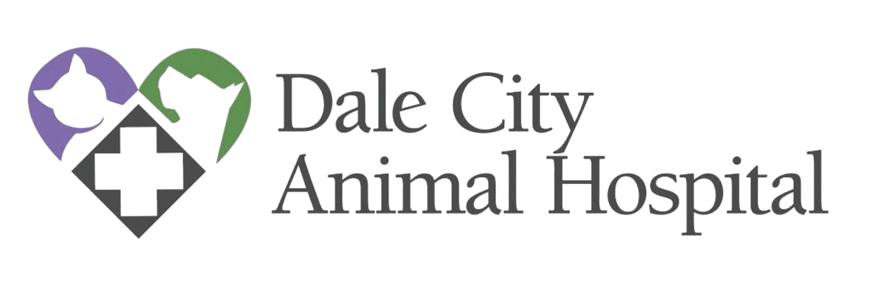 Dale City Animal Hospital HeaderLogo.https sitecreator.nvacommunity.com Content images 202208031807538422GK6W 1024x336 1